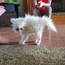 ���� ������, �������, 58 ��� - ��������� 15 ������ 2024 � ������ ���� ����������