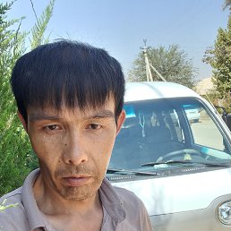 , 41, 