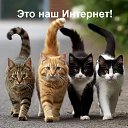���� �����, �����������, 51 ��� - ��������� 14 ������ 2025 � ������ ���� ����������