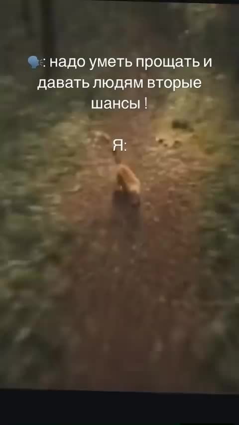 o��oc���. ����� �������