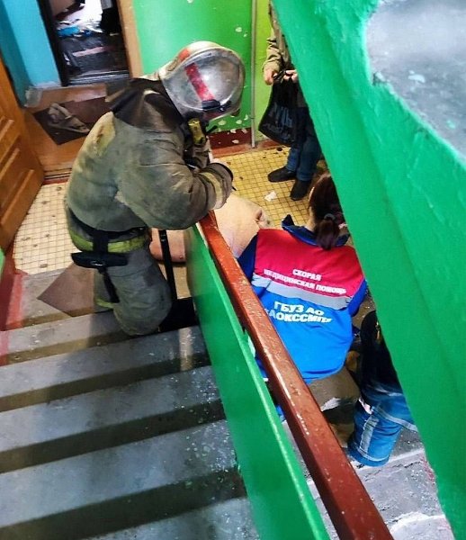 Мила спасена! В Архангельске пожарные вынесли из огня 100-килограммовую свинью.Это не байка с фермы, ... - 2