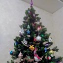 ���� Vadzim, �����, 45 ��� - ��������� 13 ������ 2024 � ������ ������ ��������