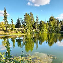 ������, ���������� �����, 45 ���