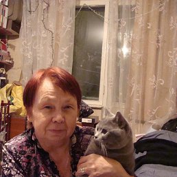 , 51, 