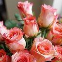 ���� ������, ���������, 43 ���� - ��������� 28 �������� 2025 � ������ ���� ����������