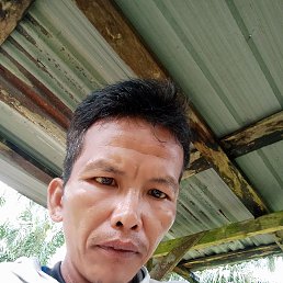 Ryan, 36, -