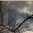  Dima, , 38  -  12  2023
