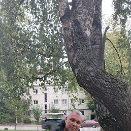 , 49 , 