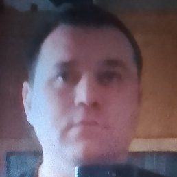 ������, ���������, 41 ���