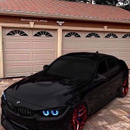 ������, �������, 42 ����