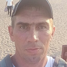 �����, �����������, 41 ���