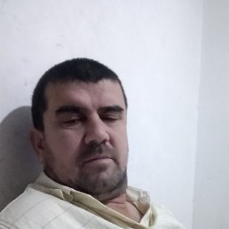 , 46, 