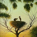 ���� Gabi, ������ - ��������� 18 ������� 2025 � ������ ���� ����������