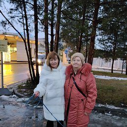 ���� ���������� ������, ������, 66 ��� - ��������� 25 ������ 2025