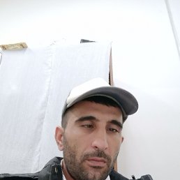 , 33, 