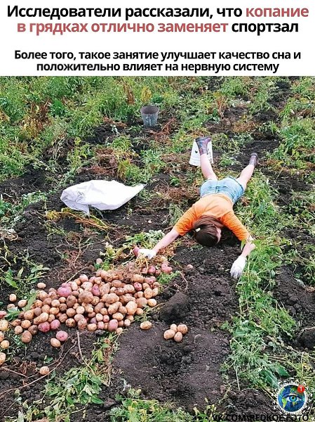 �cc���o�a��� o� �����, �o�op�� ���o��a �� �o�a�� �p����