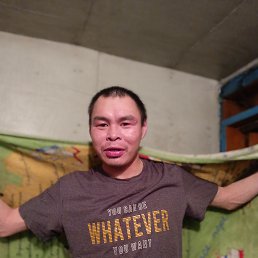 , 33, 