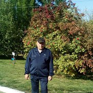 ��������� ��������, 67 ���, ����