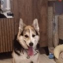���� Sasha, �����-���������, 56 ��� - ��������� 1 ������� 2024 � ������ ���� ����������