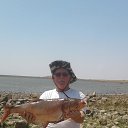 ���� ˸��., ����� - ��������� 15 ������� 2026 � ������ ���� ����������