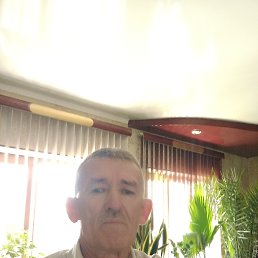 , 66, 
