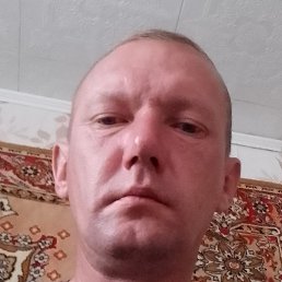 ����, ������, 40 ���