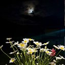 ���� ������, ���������� - ��������� 30 ���� 2026 � ������ ������ ��������