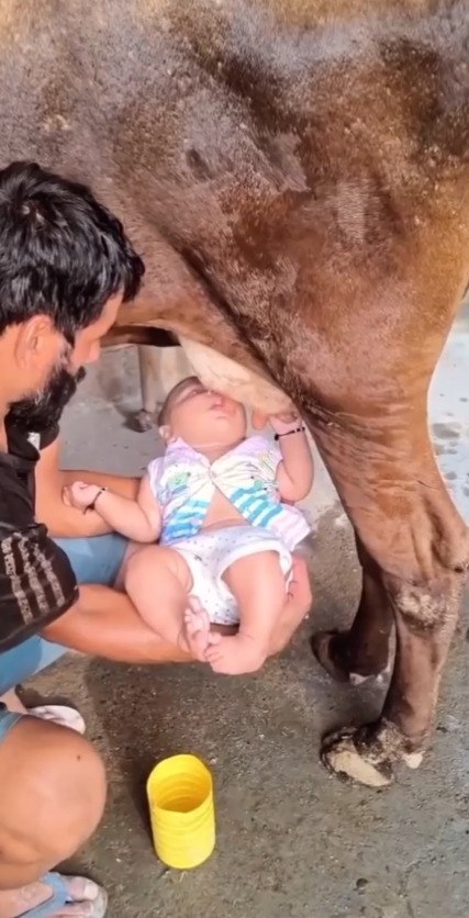 ������ ��� ���������, ���� �� ������ ���������, ����� ������� ��� ������