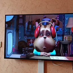 ���� ����, �����������, 40 ��� - ��������� 24 ����� 2024