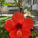 ���� ������, ���������, 55 ��� - ��������� 17 ������� 2025