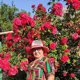 ����, �������, 70 ���