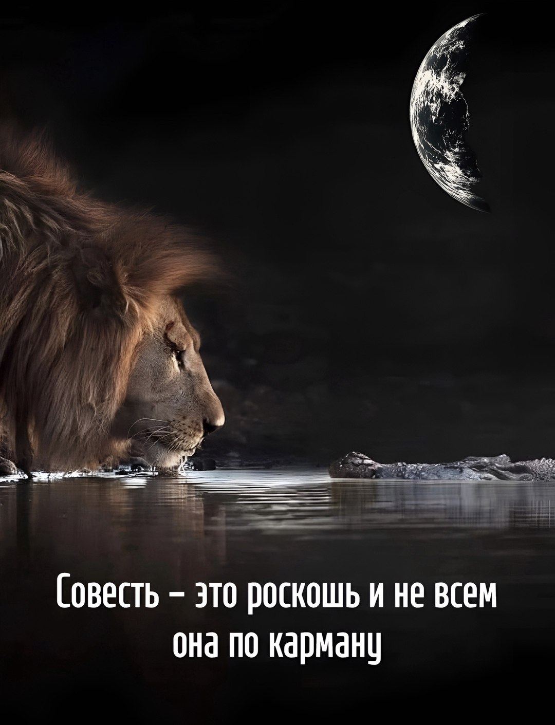  - 13  2025  15:58