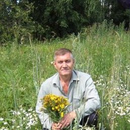 ������, ������, 56 ���