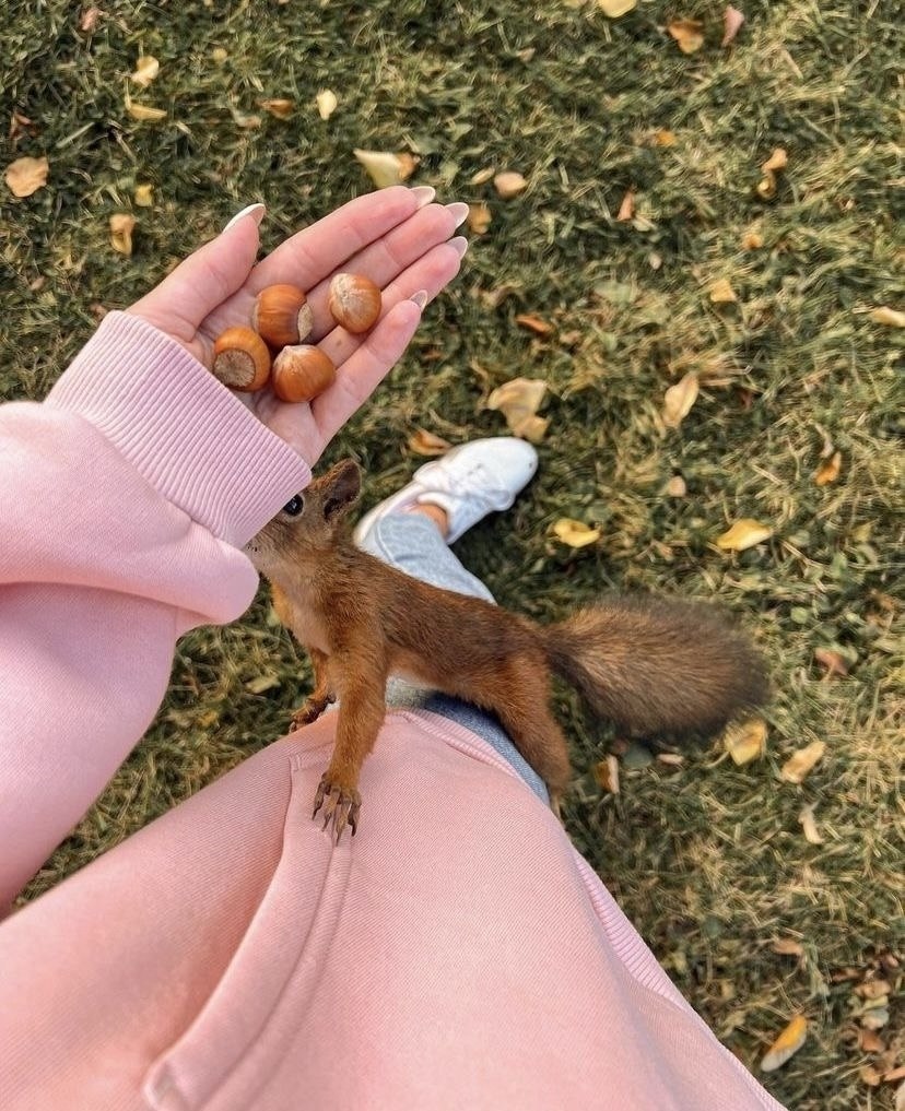 ������ ������