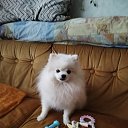 ���� �������, ������������ - ��������� 14 ������� 2025