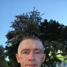 , 36, 