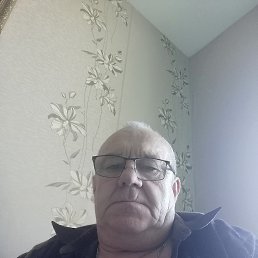 , 65, 