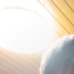 �����, �������, 32 ����