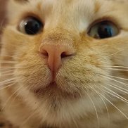 �����, 25 ���, ������