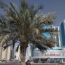 ���� �������, �������-���������, 51 ��� - ��������� 22 ��� 2025 � ������ ���� ����������