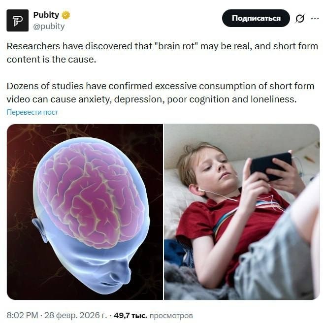 ���������� 71 ������������ � �������� ����� 100 ����� ������� ������� ����� ����� �������� ... - 2