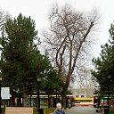 ���� Vera, ������ - ��������� 3 ������� 2025 � ������ ������ ��������