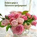���� ˸��, ������, 52 ���� - ��������� 4 ���� 2024