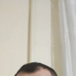 ����, 38 ���, �����������