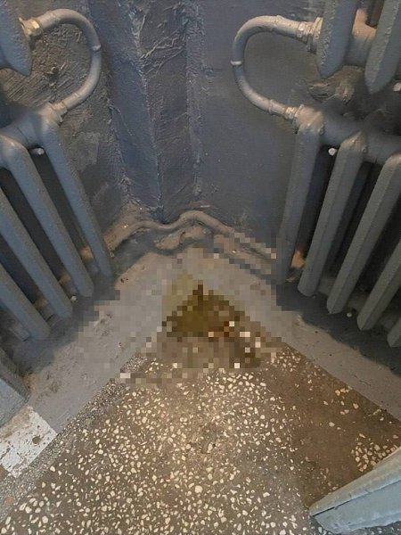 В Питере разыскивают «блондинку без тормозов»: устроила акт великой нужды прямо в парадной. ... - 2