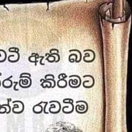 Dana, ������, 36 ���