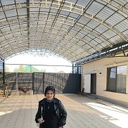 , 31 , 