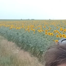 �����, ������, 45 ���