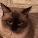 ���� �������, �����, 69 ��� - ��������� 1 ��� 2026 � ������ ���� ����������