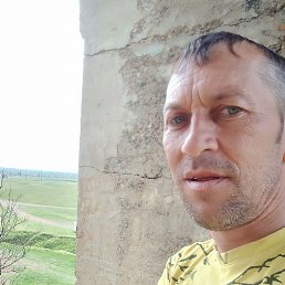 , 43 , 